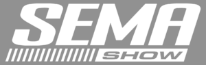ShowLogo noBox W 1 300x95