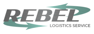 Logo ColorCorrection 300x109