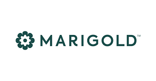 Marigold